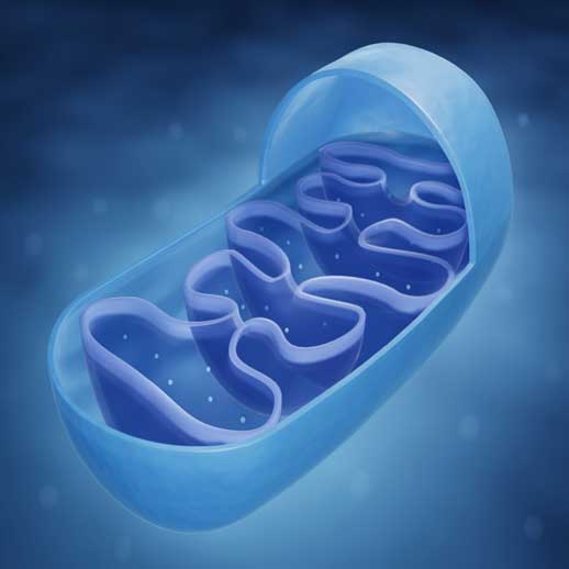 Ozone Therapy Practitioner Training by Dotolo Europe